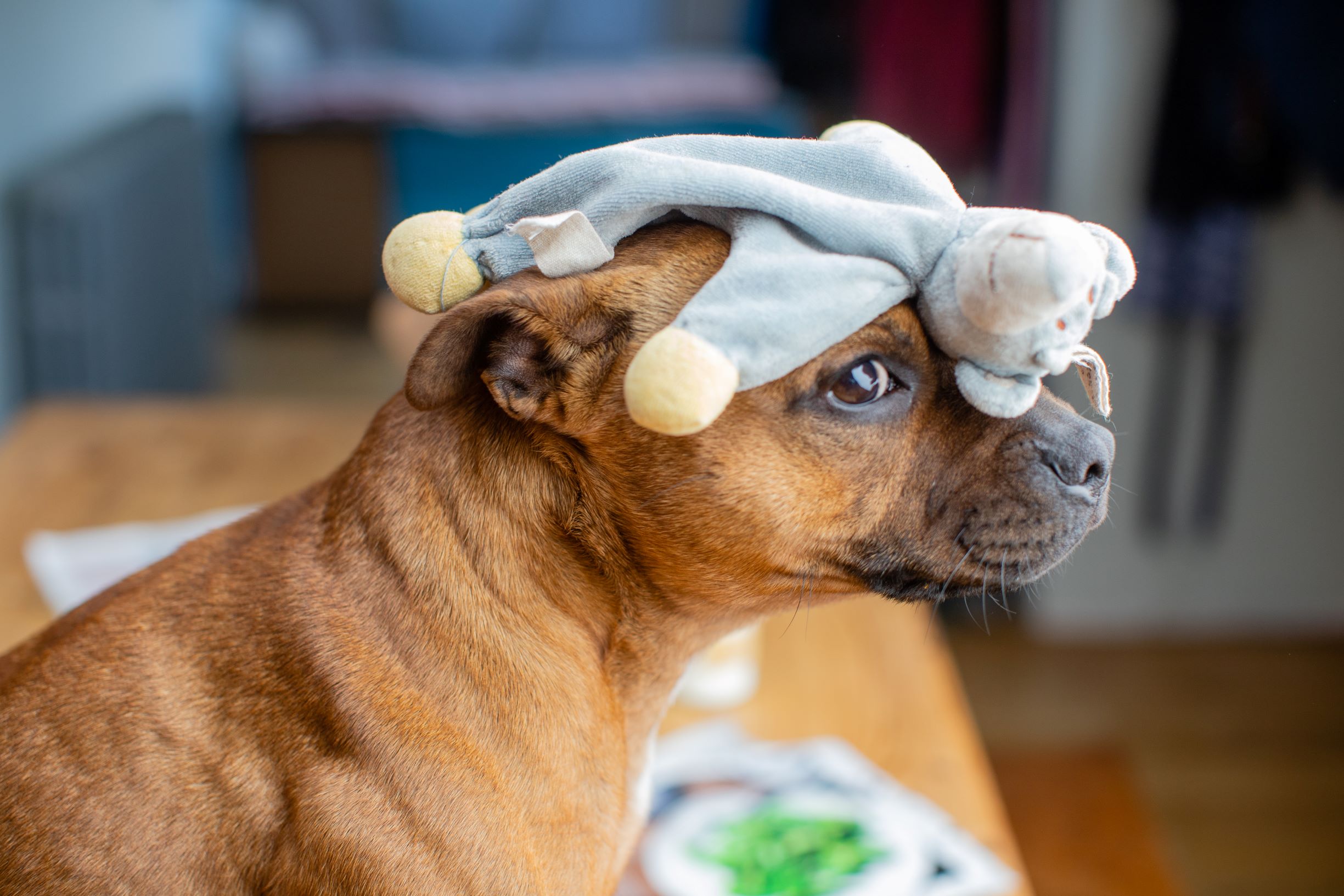 Bacon Baps. “It takes a village”… to find a ‘Bella’.